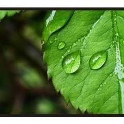 细节展示放大镜特效